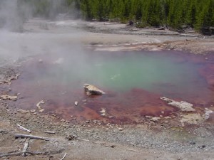 YellowstonePots
